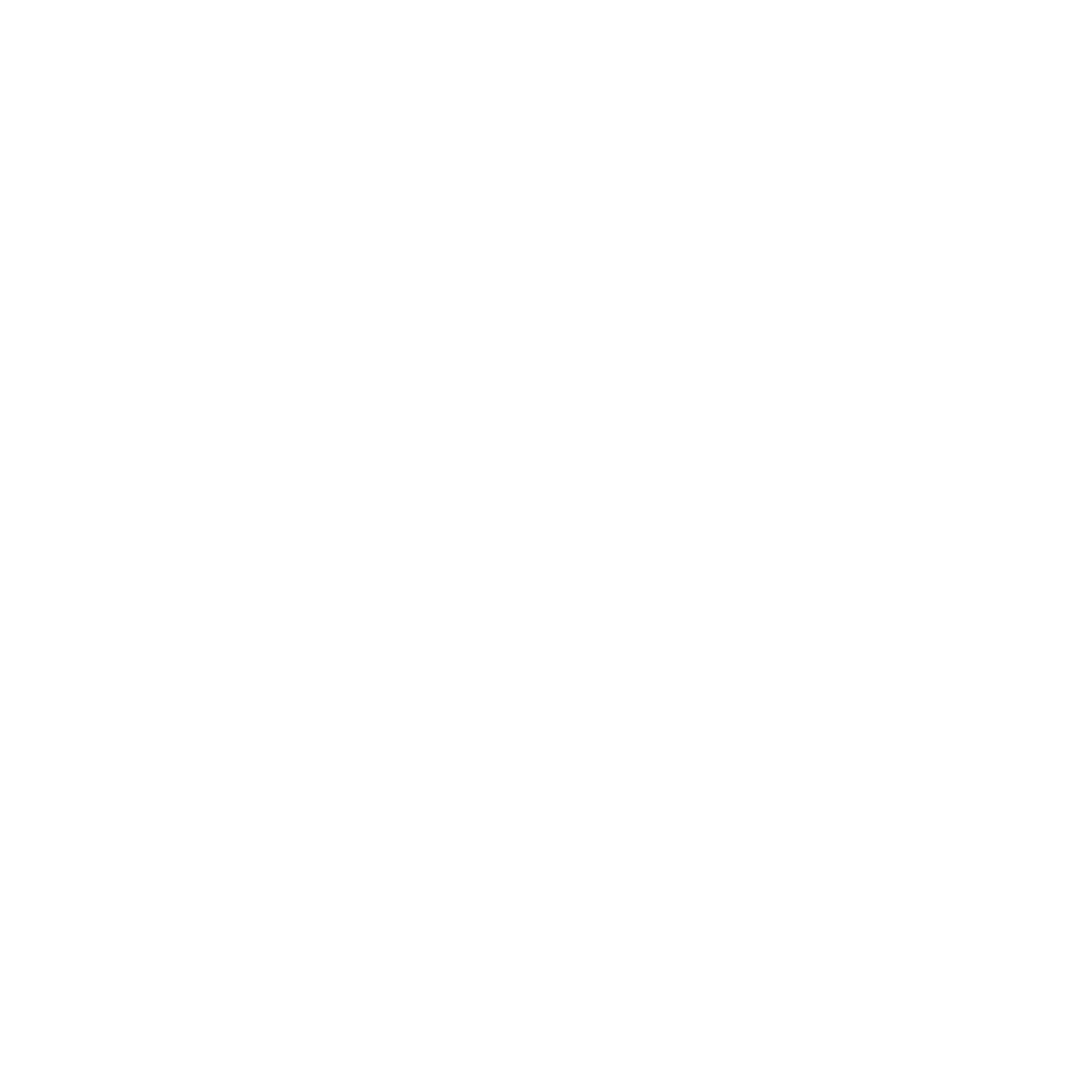Seagull Electrics